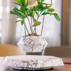 Skybotanicâ„?Levitating Plant Pot