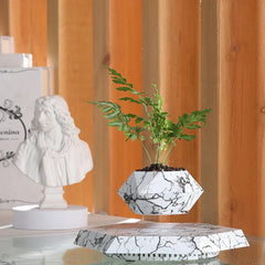 Skybotanicâ„?Levitating Plant Pot