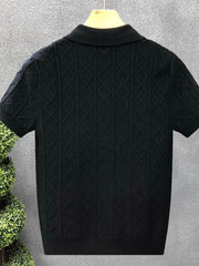 Men's Plus Size Basic style Collared Neck Knit Polo