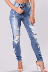 Nichole Distressed Skinny Jeans Plus Size