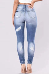 Nichole Distressed Skinny Jeans Plus Size