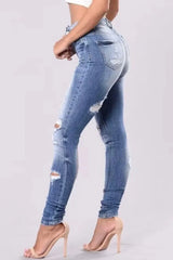 Nichole Distressed Skinny Jeans Plus Size