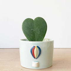 Balcony Ceramic Plant Pots