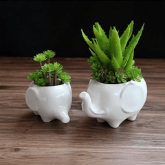 Elephant Plant Pot Set 2pcs