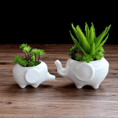 Elephant Plant Pot Set 2pcs