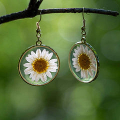 White Daisies Pressed Flower Earrings