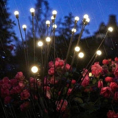Solar Powered Fairy Lights