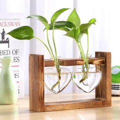 Heart Shaped Glass Bulbs Pot