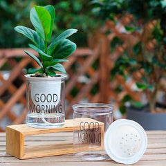 Hydroponic Lazy Self-Watering Flowerpot