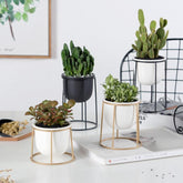 Set of 3 Flower Pots