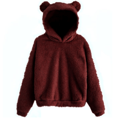 Bear Ears Hoodie