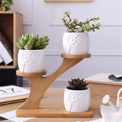 Owl Ceramic 3 tier Bamboo Set