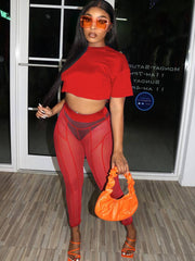 Two Piece Short Sleeves Crop Top & Mesh Pants