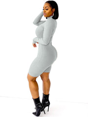 Long Sleeve Bodycon High Neck Ribbed Knit Jumpsuit