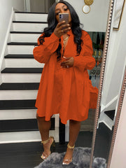 Long Sleeve Lapel Button Shirt Mini Dresses