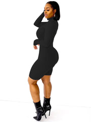 Long Sleeve Bodycon High Neck Ribbed Knit Jumpsuit