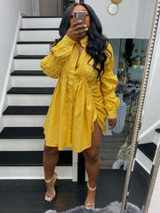 Long Sleeve Lapel Button Shirt Mini Dresses