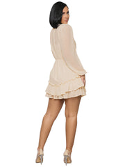 Long Sleeve Mock Neck Mesh Mini Dresses