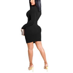Long Sleeves Solid Color Mini Dresses
