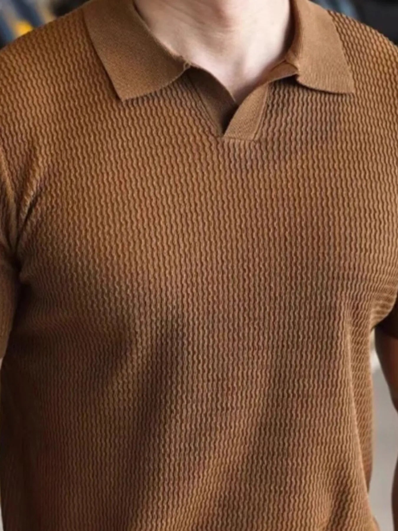 Men's Full Size Textured Knit Polo Shirt Plus Size