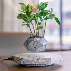 Skybotanicâ„?Levitating Plant Pot
