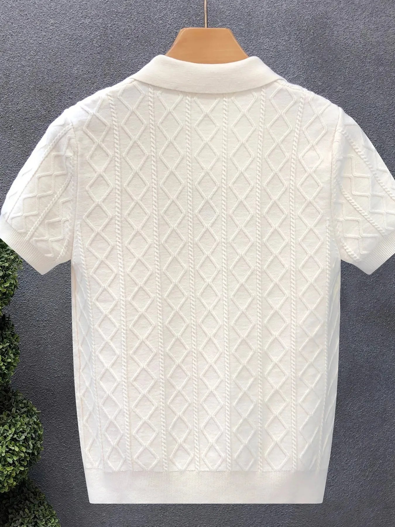 Men's Plus Size Basic style Collared Neck Knit Polo