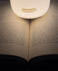 Slug Night Light Lamp
