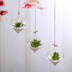 Glass Hanging Terrarium
