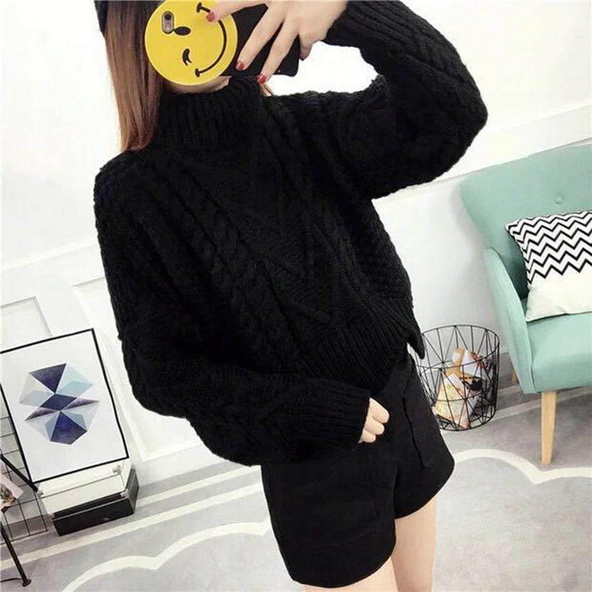 Nadine Turtleneck Sweater (4 Colors)