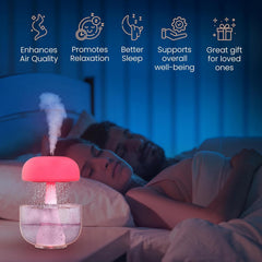 Aroma Diffuser Rain Cloud Humidifier