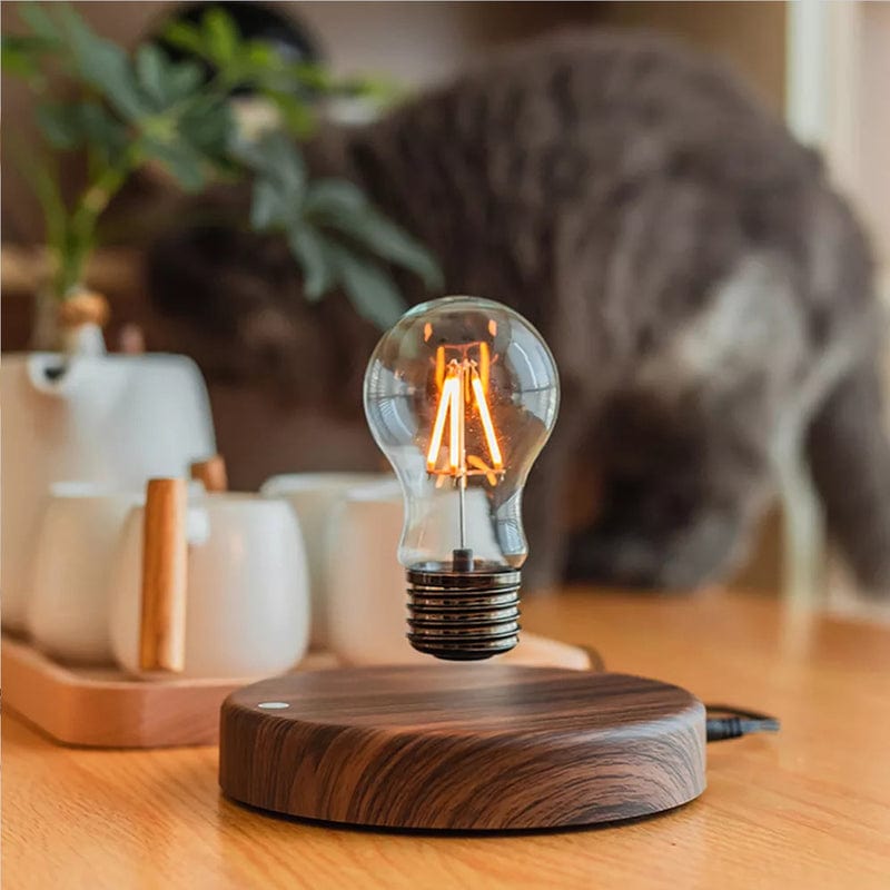 Floating Light Bulb Lamp