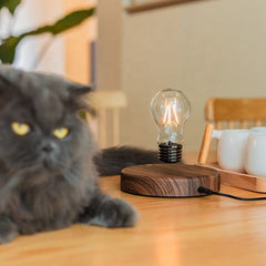 Floating Light Bulb Lamp