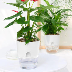Hydroponic Flowerpot