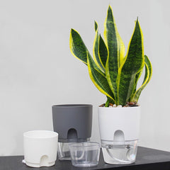 Hydroponic Flowerpot