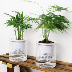 Hydroponic Lazy Self-Watering Flowerpot