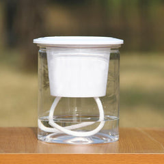 Hydroponic Lazy Self-Watering Flowerpot