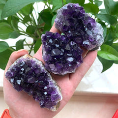 Natural Amethyst Cluster