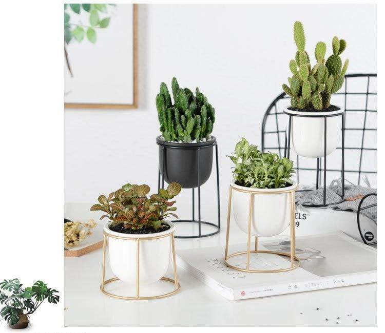 Set of 3 Flower Pots