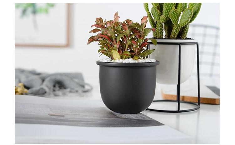 Set of 3 Flower Pots