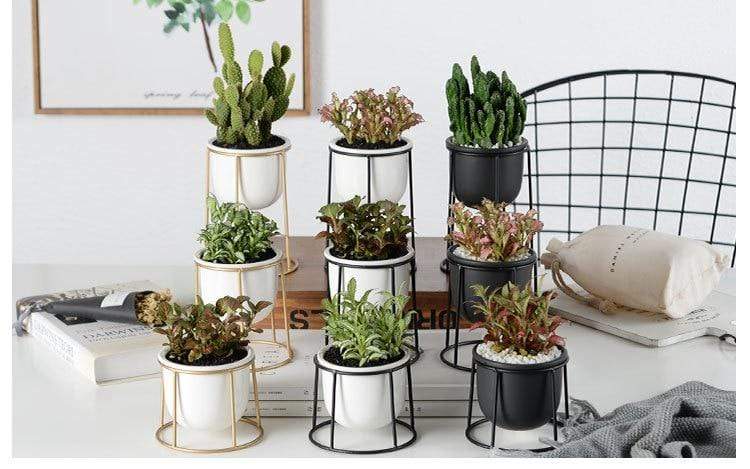 Set of 3 Flower Pots