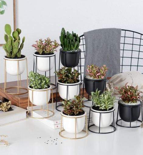 Set of 3 Flower Pots