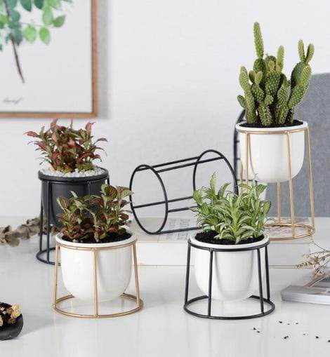 Set of 3 Flower Pots