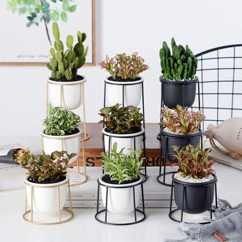 Set of 3 Flower Pots