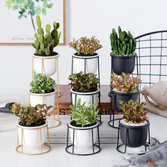 Set of 3 Flower Pots