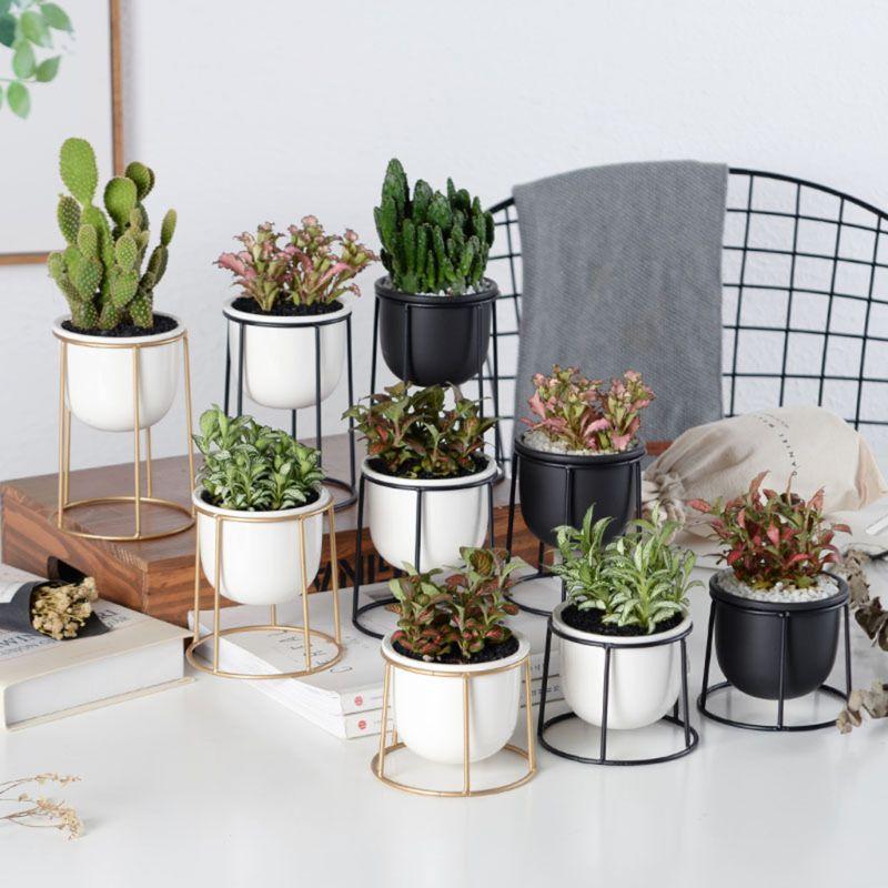 Set of 3 Flower Pots
