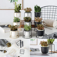 Set of 3 Flower Pots