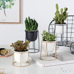 Set of 3 Flower Pots