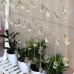 String Hanging Propagation Bottles