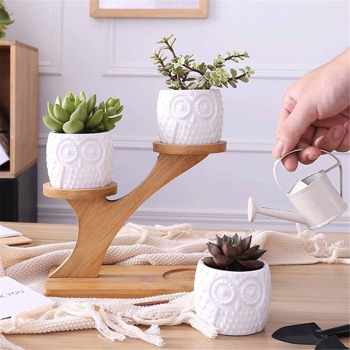 Owl Ceramic 3 tier Bamboo Set