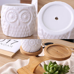 Owl Ceramic 3 tier Bamboo Set